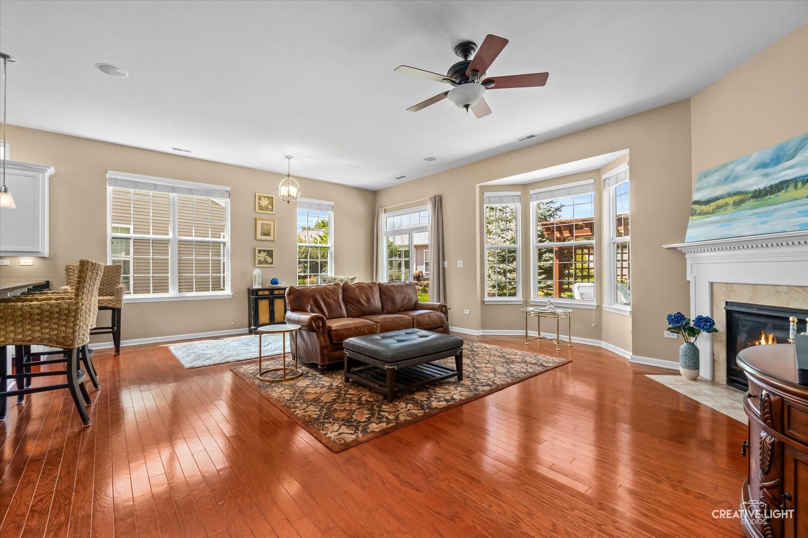 3886 Seigle Drive, Elgin, IL 60124 3886 Seigle Drive, Elgin, IL 60124