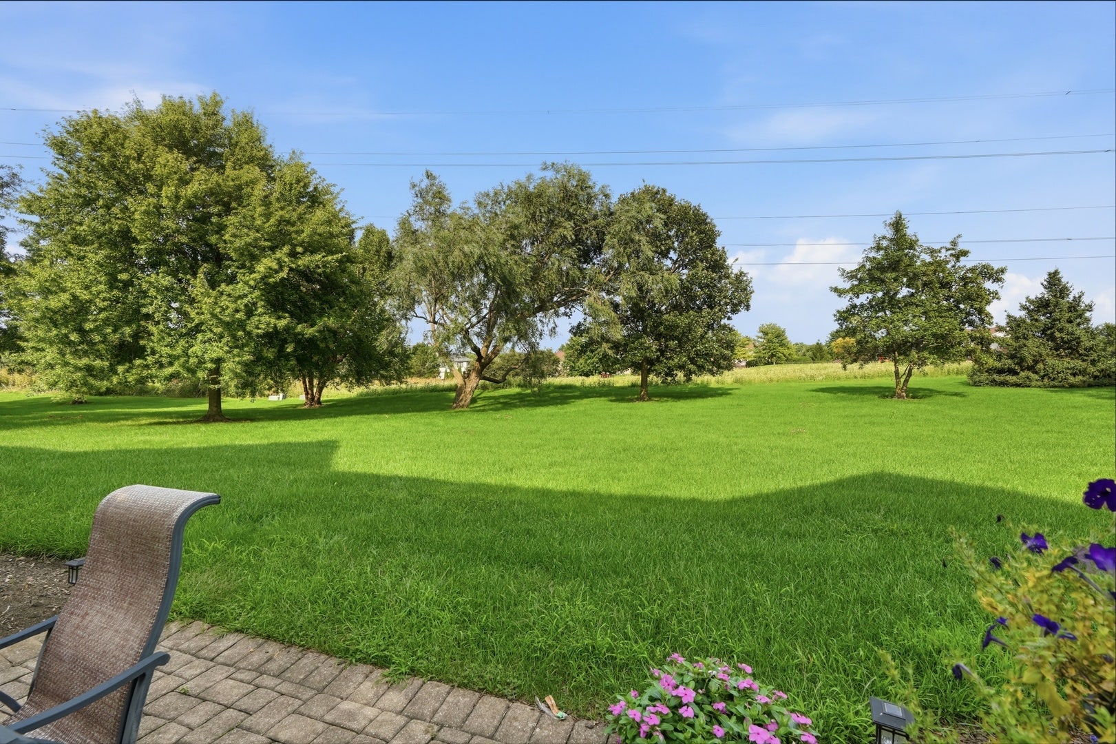 14959 S Suffolk Court, Homer Glen, IL 60491