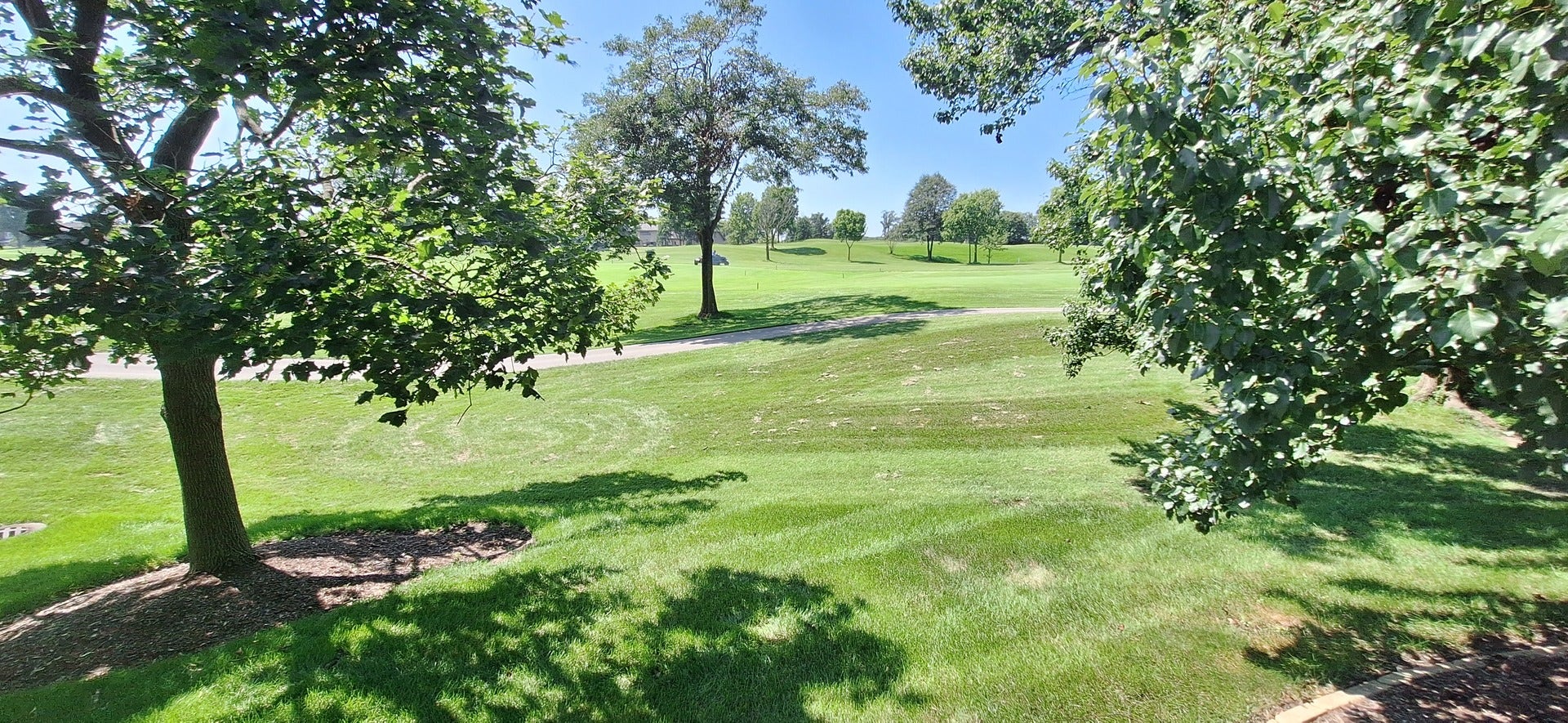 14516 Morningside Road, Orland Park, IL 60462 View of 13th fairway