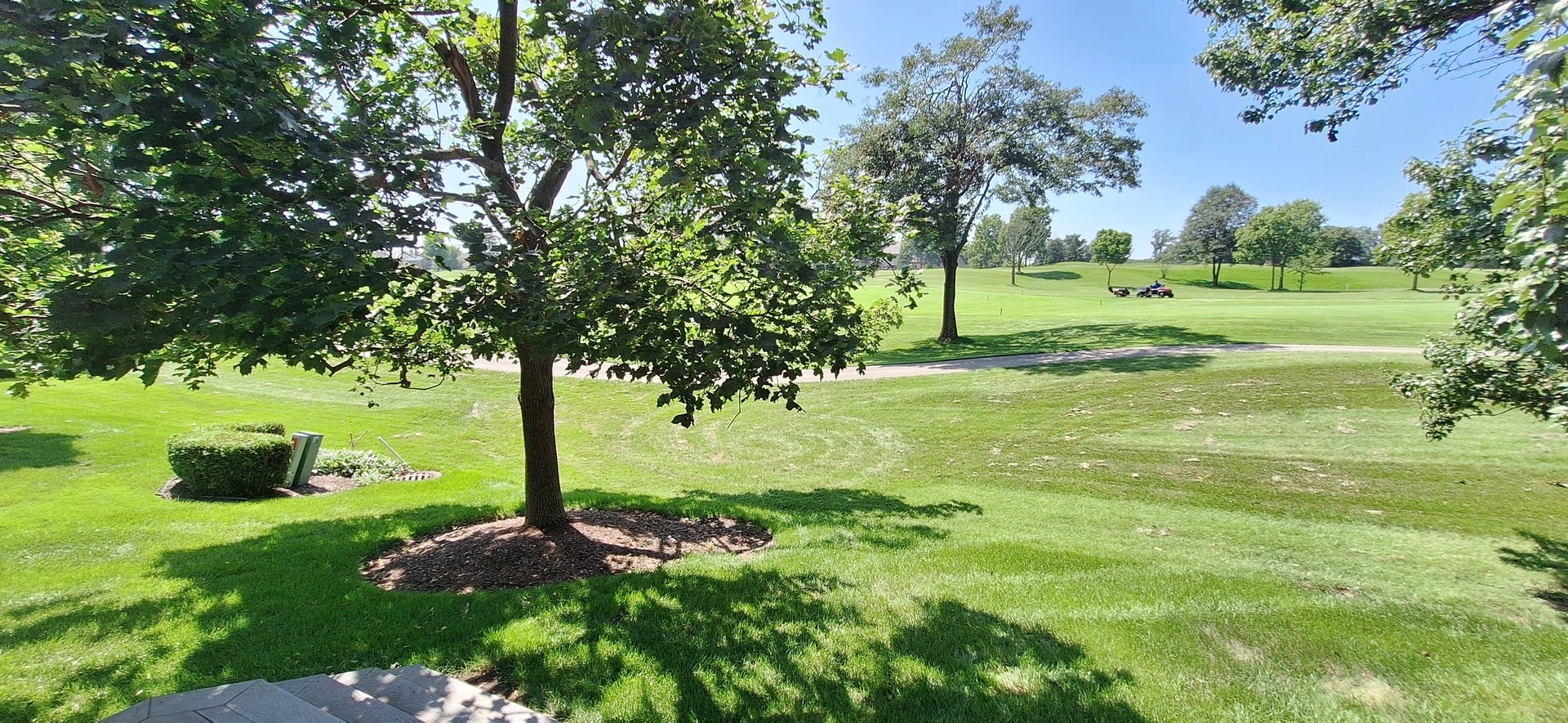 14516 Morningside Road, Orland Park, IL 60462 View of 13th fairway