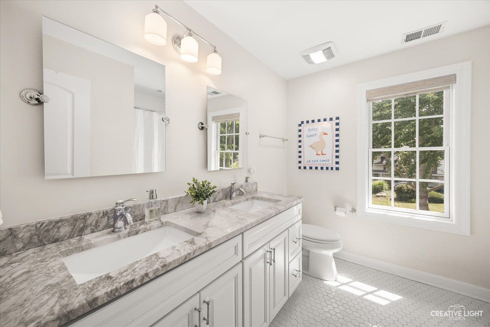 418 Austin Street, Downers Grove, IL 60515 418 Austin Street, Downers Grove, IL 60515
