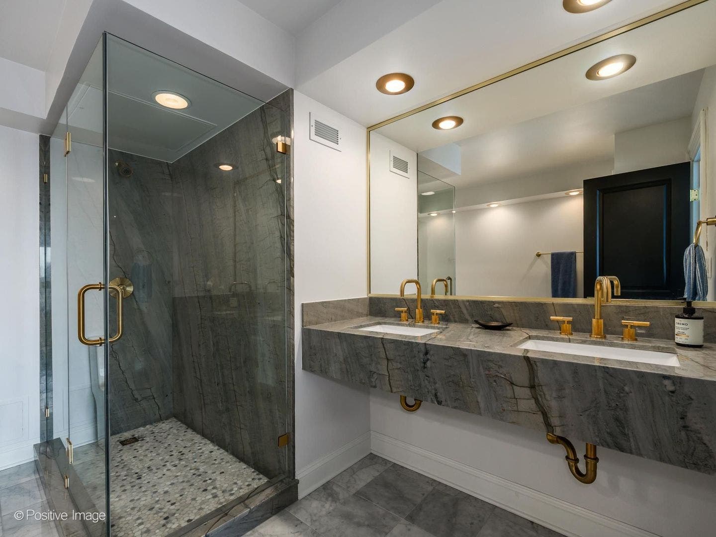 1440 N Lake Shore Drive, #22ABCD, Chicago, IL 60610
