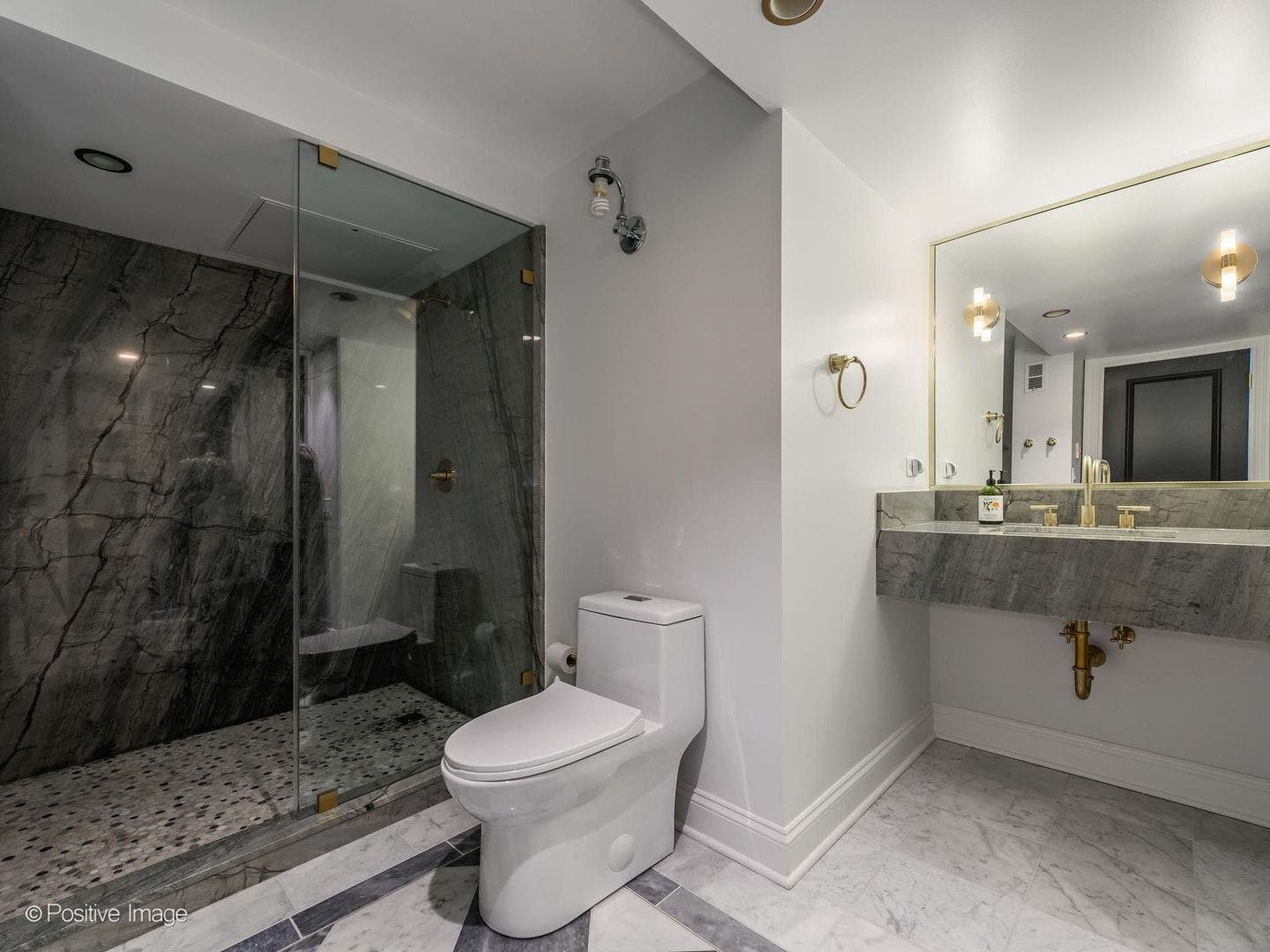1440 N Lake Shore Drive, #22ABCD, Chicago, IL 60610