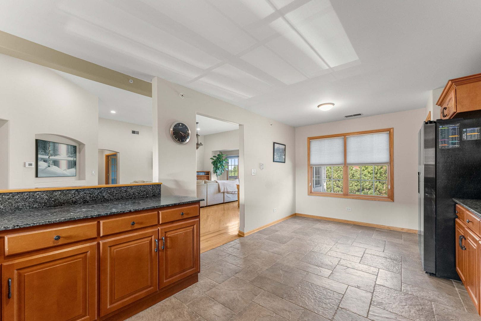 21332 Windy Hill Drive, Frankfort, IL 60423 21332 Windy Hill Drive, Frankfort, IL 60423