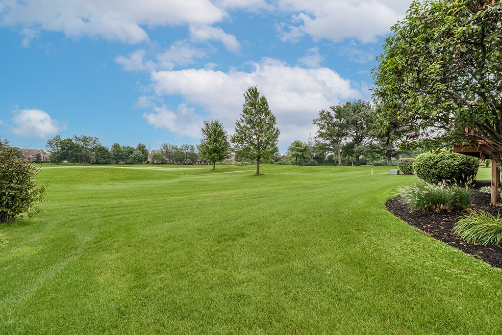 54 Long Cove Drive, Lemont, IL 60439 54 Long Cove Drive, Lemont, IL 60439