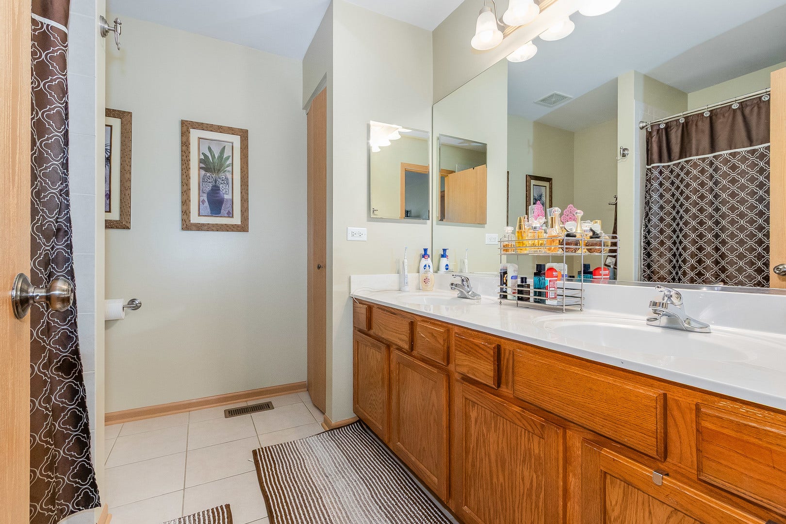 732 BRITA Trail, Minooka, IL 60447 732 BRITA Trail, Minooka, IL 60447