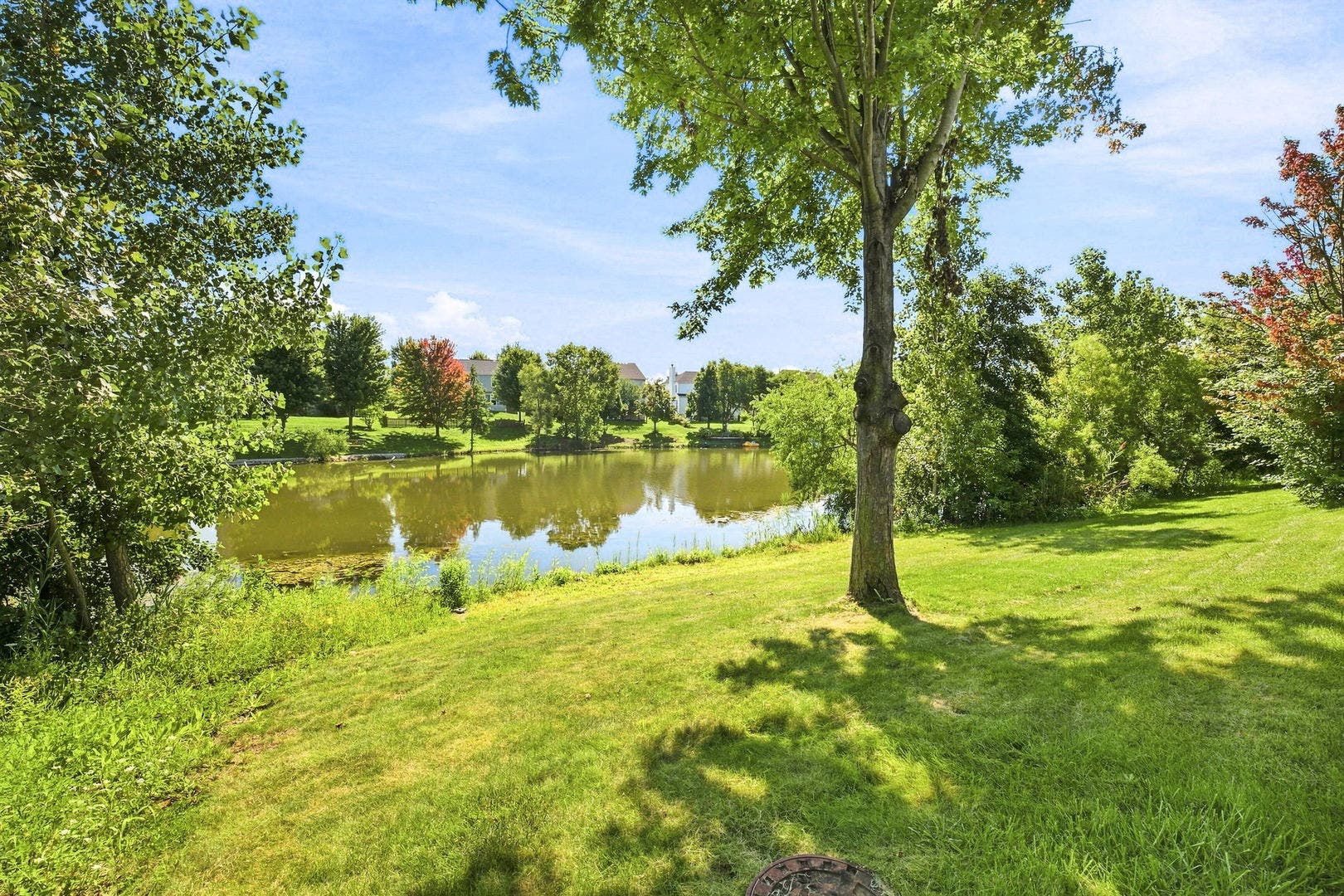 326 Homewood Drive, Bolingbrook, IL 60440 326 Homewood Drive, Bolingbrook, IL 60440