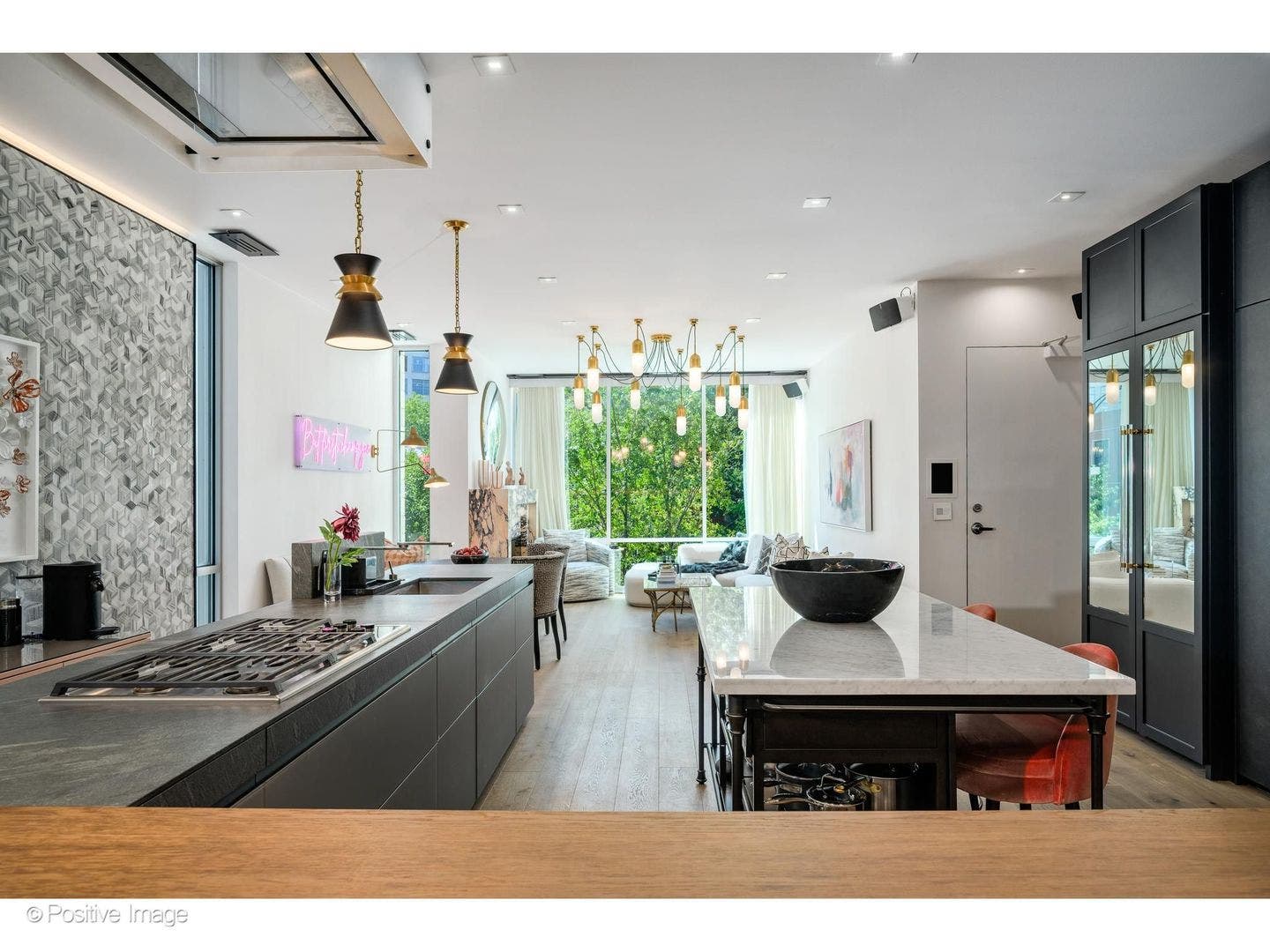 925 N Larrabee Street, #2S, Chicago, IL 60610 925 N Larrabee Street, #2S, Chicago, IL 60610