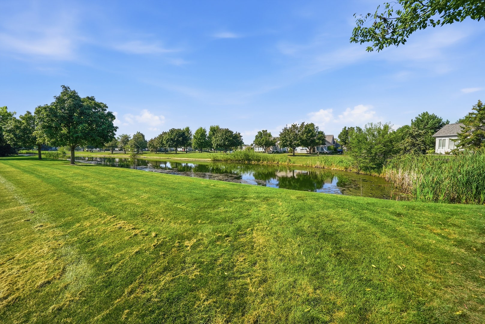 14406 Iz Brook Drive, Homer Glen, IL 60491 14406 Iz Brook Drive, Homer Glen, IL 60491