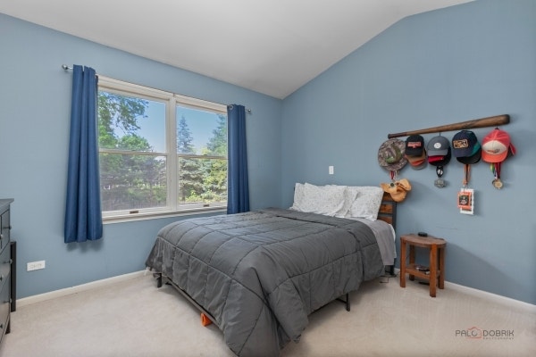 1305 Dancer Court, Libertyville, IL 60048 1305 Dancer Court, Libertyville, IL 60048
