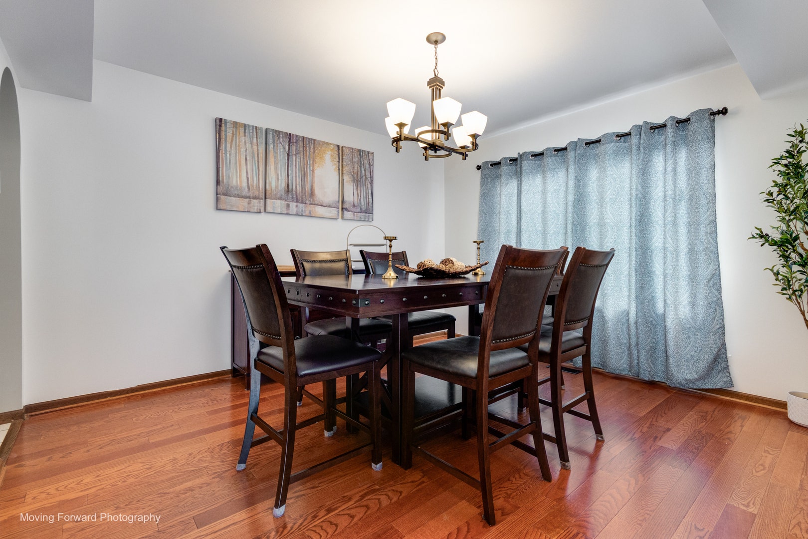 1301 Big Oak Trail, Aurora, IL 60506 1301 Big Oak Trail, Aurora, IL 60506