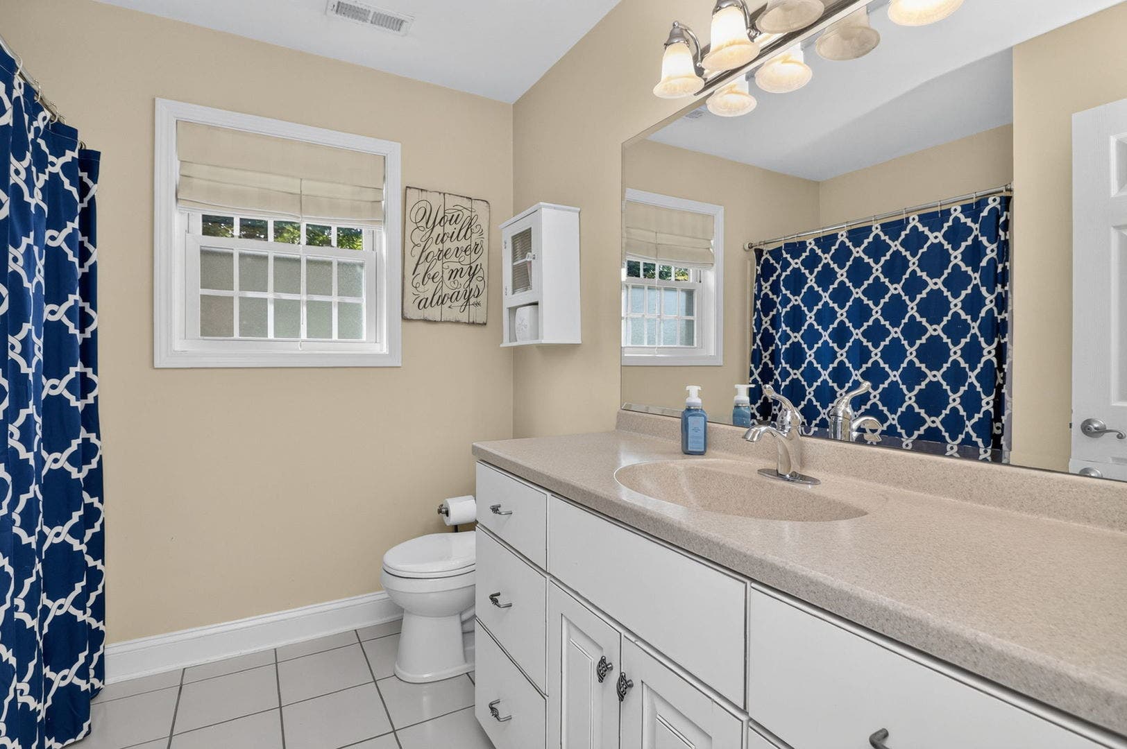 4322 Bronk Corner, Plainfield, IL 60586 4322 Bronk Corner, Plainfield, IL 60586