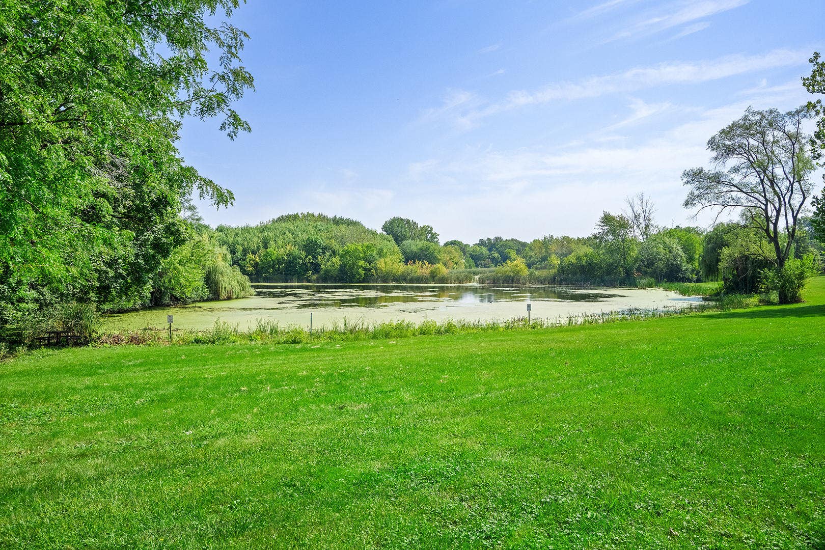 Downers Grove, IL 60516 Downers Grove, IL 60516