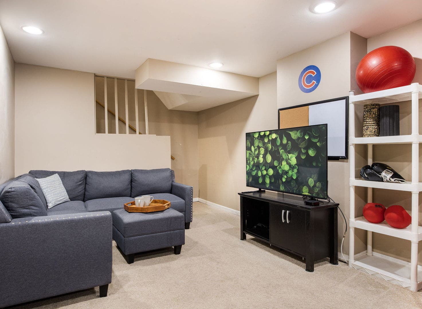 3820 Saratoga Avenue, Downers Grove, IL 60515 Rec room