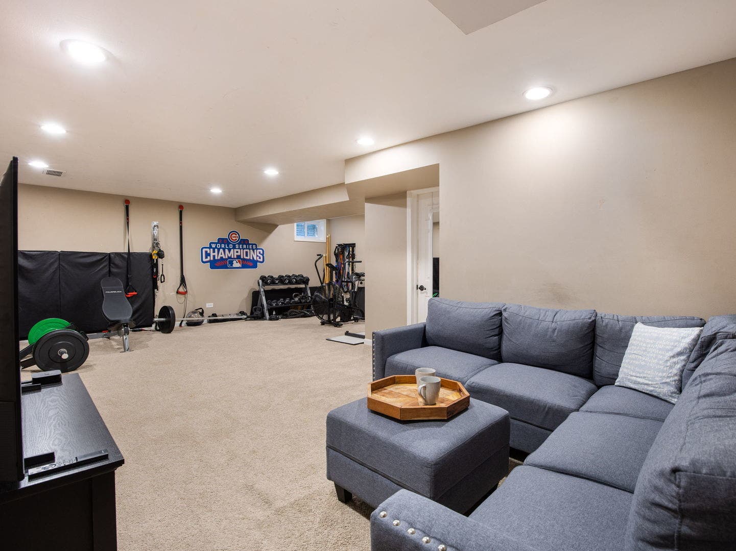 3820 Saratoga Avenue, Downers Grove, IL 60515 Rec room in basement