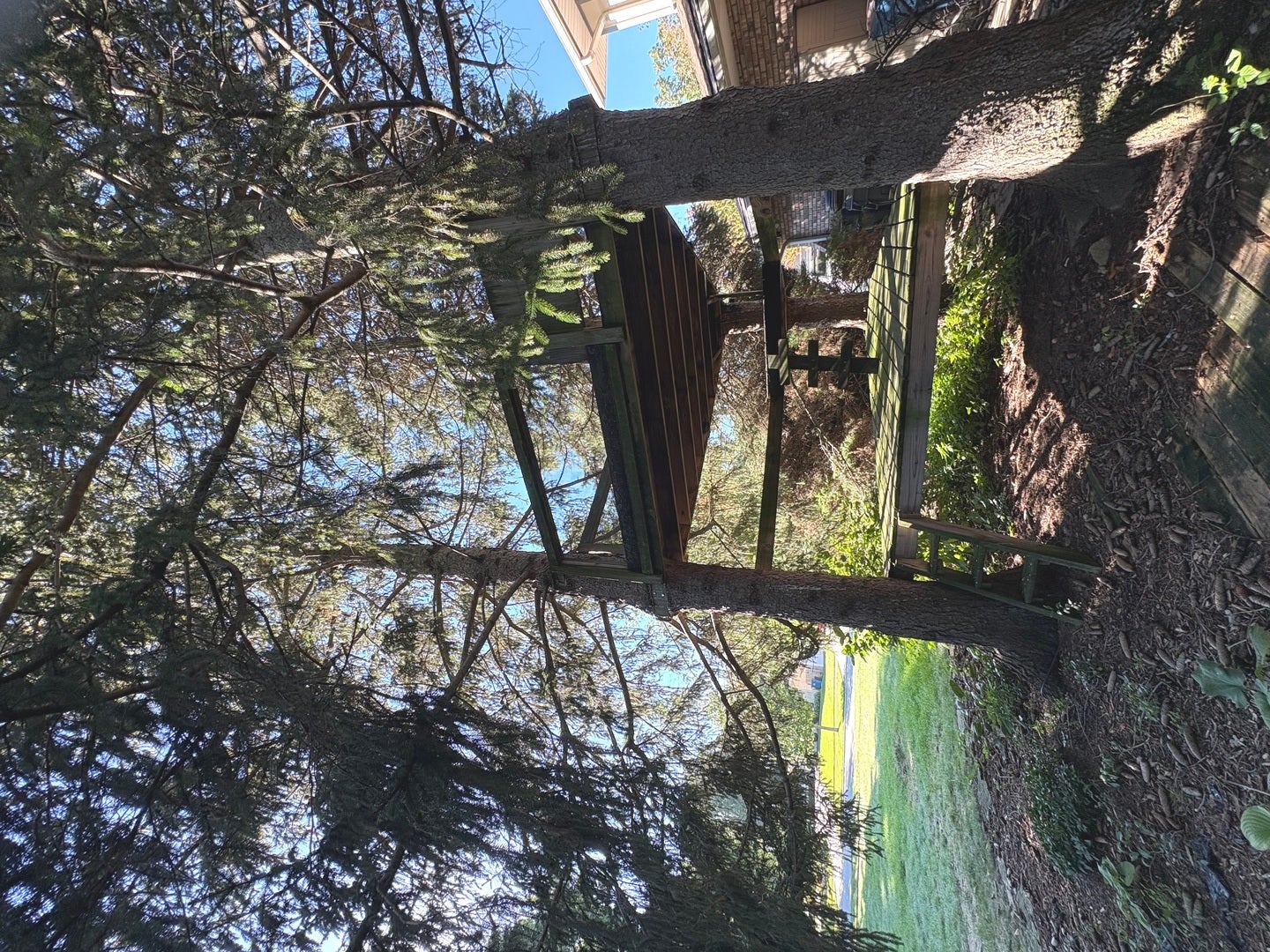 3820 Saratoga Avenue, Downers Grove, IL 60515 Backyard treehouse