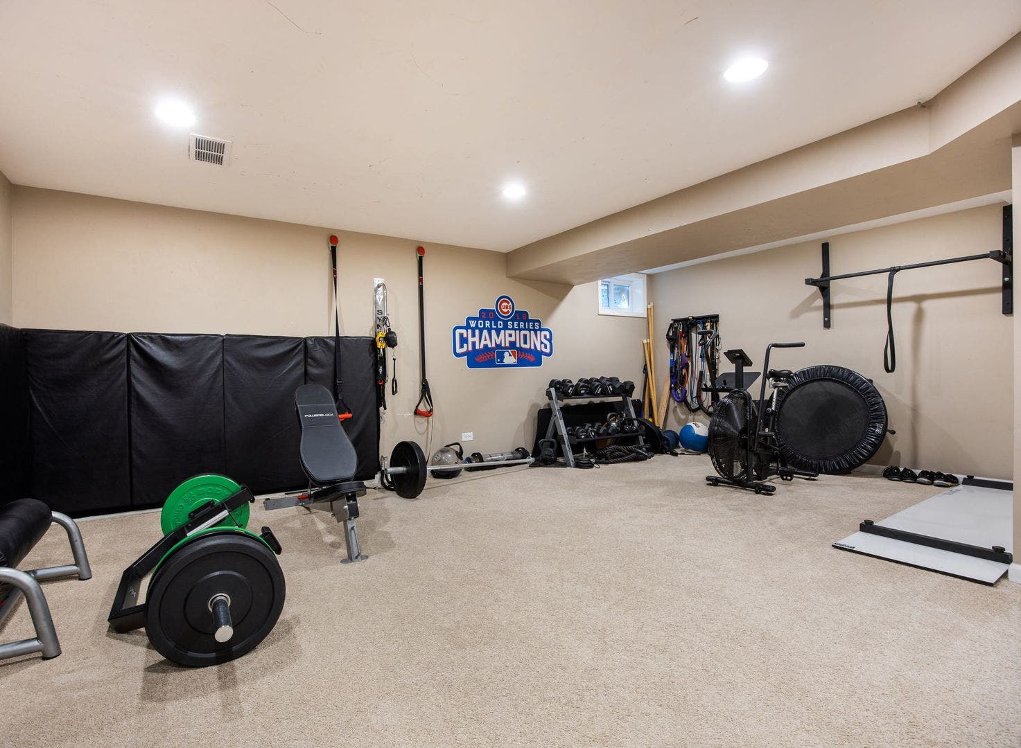 3820 Saratoga Avenue, Downers Grove, IL 60515 Flex space/rec room