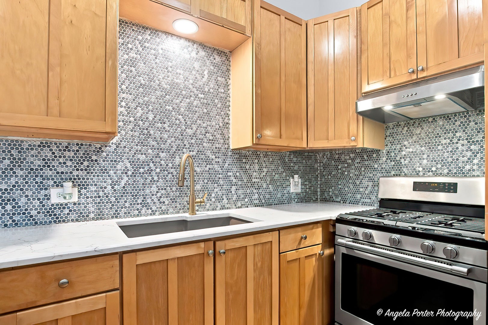 205 Chaparral Circle, Elgin, IL 60120 205 Chaparral Circle, Elgin, IL 60120