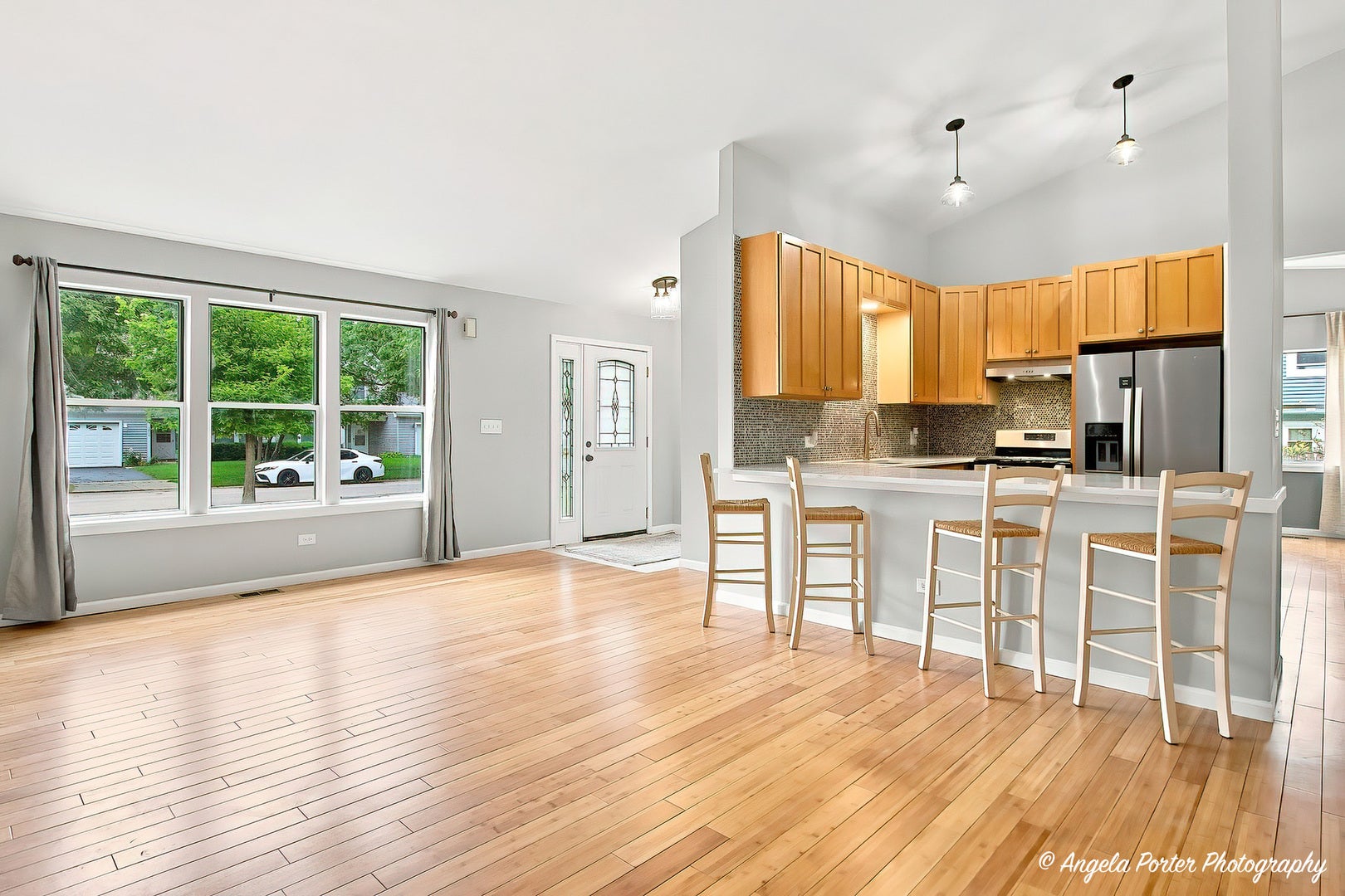 205 Chaparral Circle, Elgin, IL 60120 205 Chaparral Circle, Elgin, IL 60120