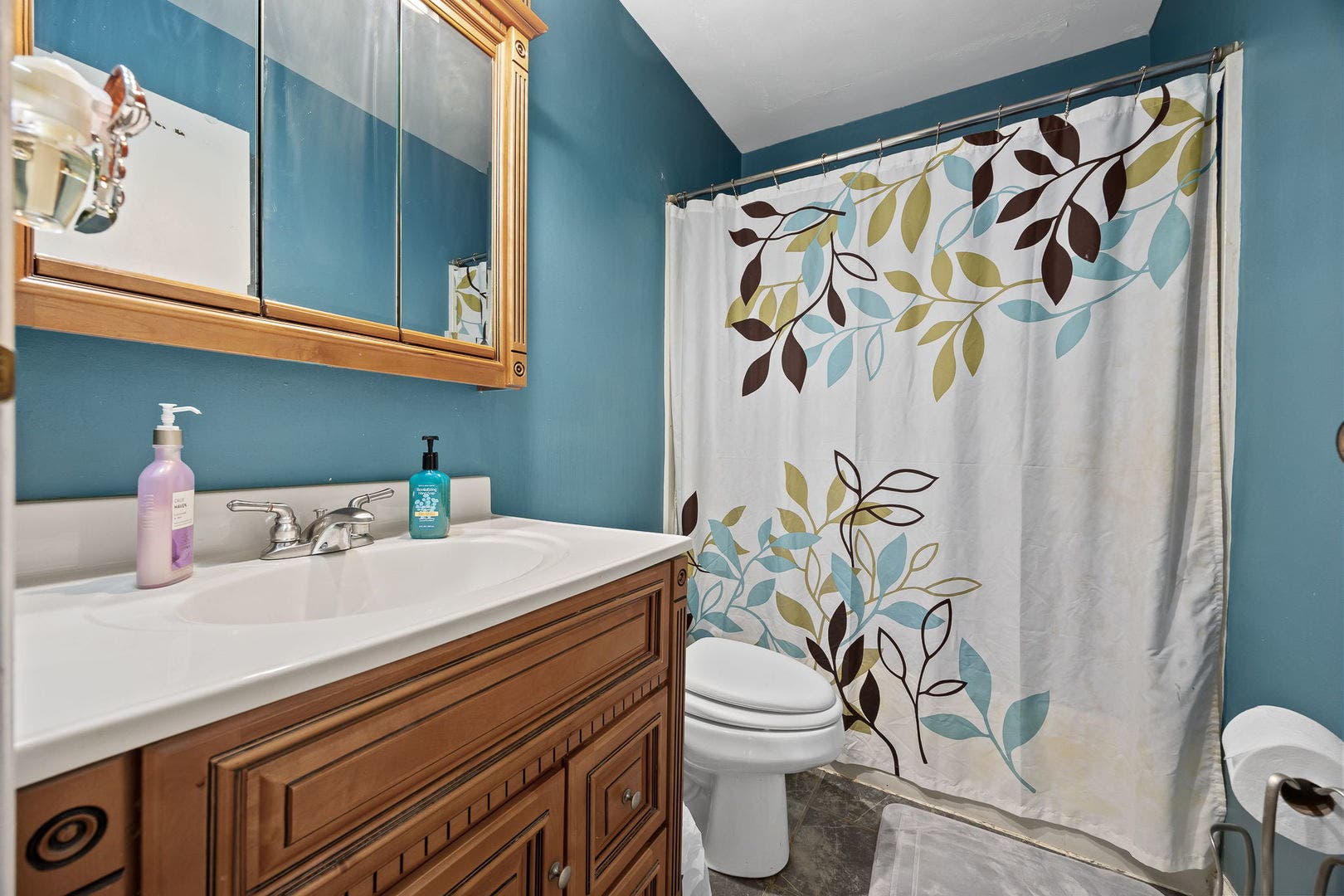 229 N Schmidt Road, Bolingbrook, IL 60440 229 N Schmidt Road, Bolingbrook, IL 60440