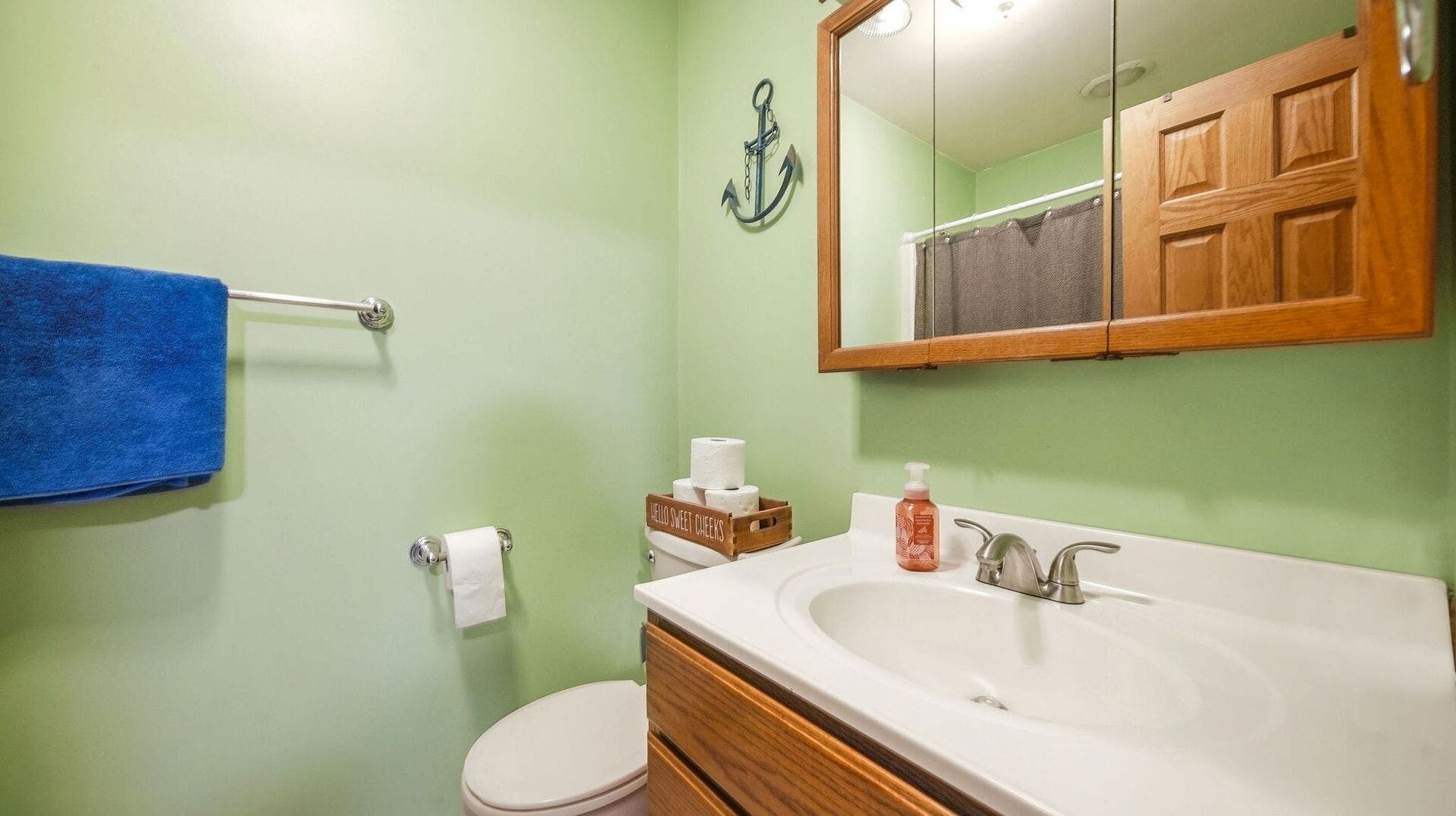 361 Oak Street, Braidwood, IL 60408 361 Oak Street, Braidwood, IL 60408