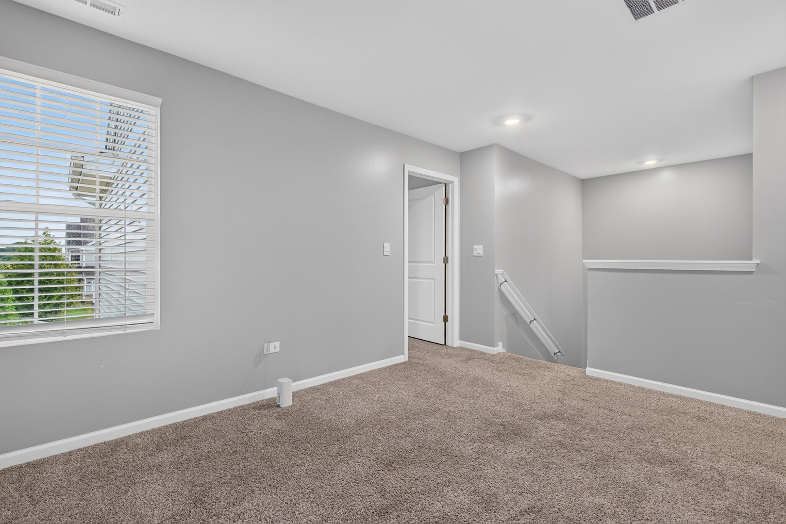 1307 Fawnlily Circle, Joliet, IL 60431 1307 Fawnlily Circle, Joliet, IL 60431