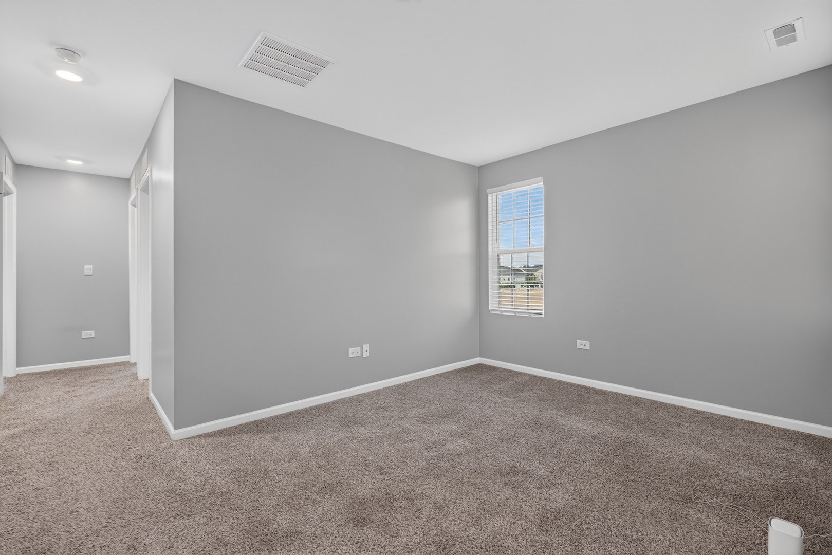 1307 Fawnlily Circle, Joliet, IL 60431 1307 Fawnlily Circle, Joliet, IL 60431