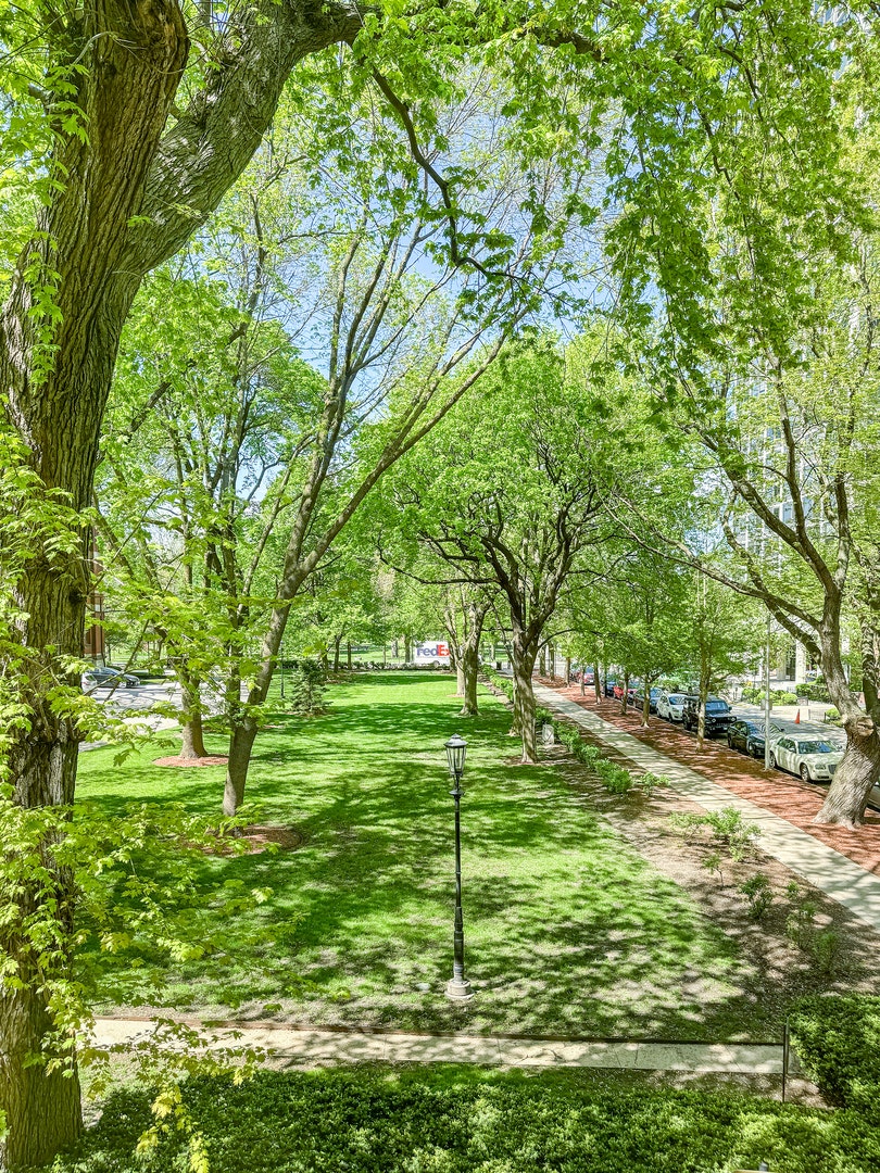 1524 N Astor Street, Chicago, IL 60610 1524 N Astor Street, Chicago, IL 60610
