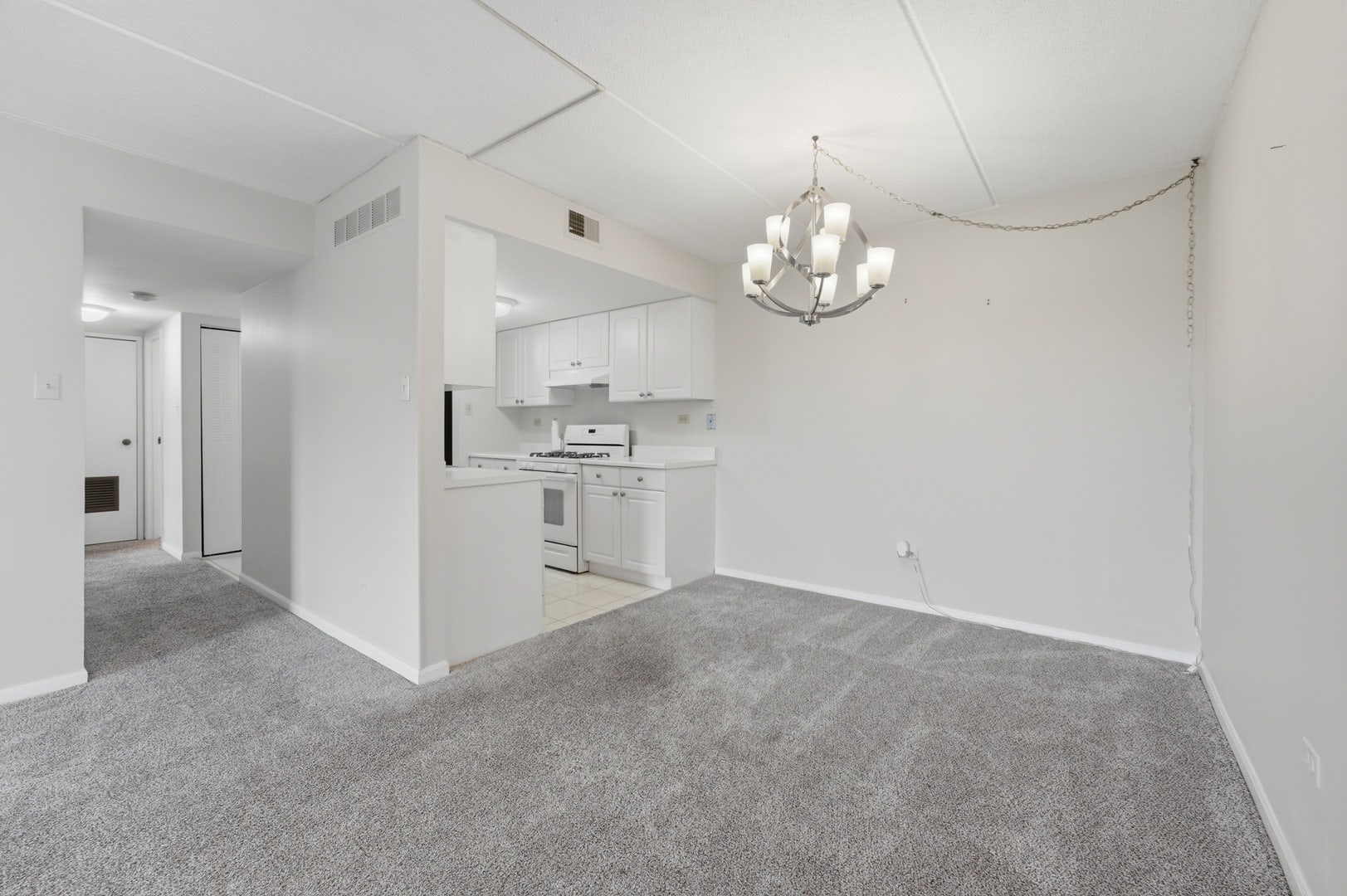 512 Redondo Drive, #509, Downers Grove, IL 60516 512 Redondo Drive, #509, Downers Grove, IL 60516
