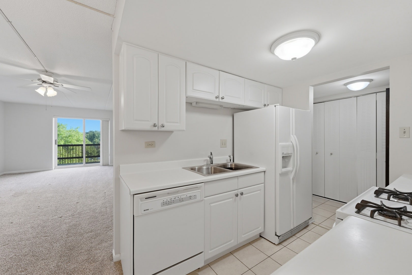 512 Redondo Drive, #509, Downers Grove, IL 60516 512 Redondo Drive, #509, Downers Grove, IL 60516