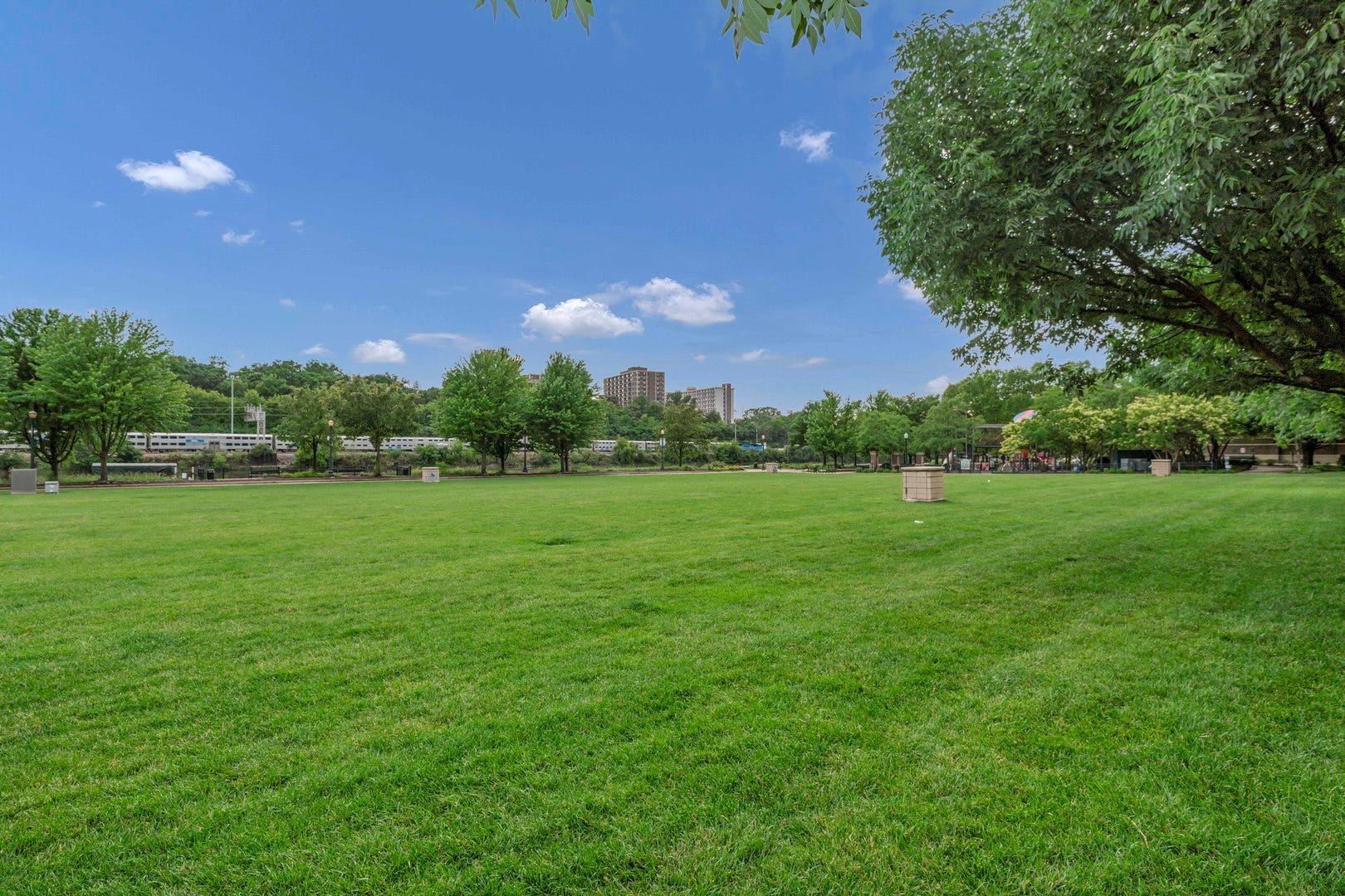 161 S Grove Avenue, Elgin, IL 60120 161 S Grove Avenue, Elgin, IL 60120