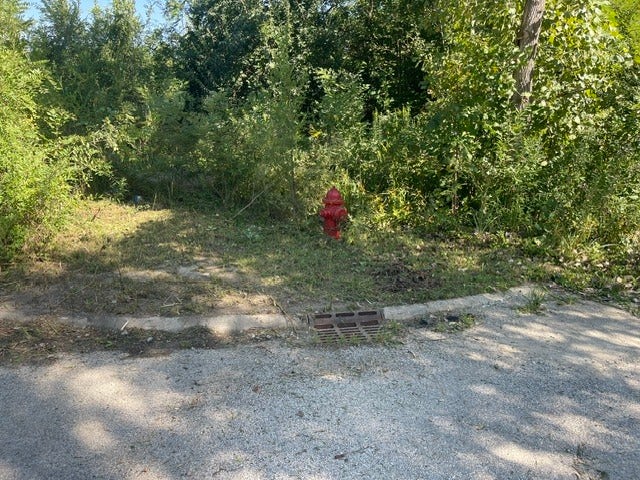 7 lots N rt 129 & Hole in the wall Court, Braidwood, IL 60408