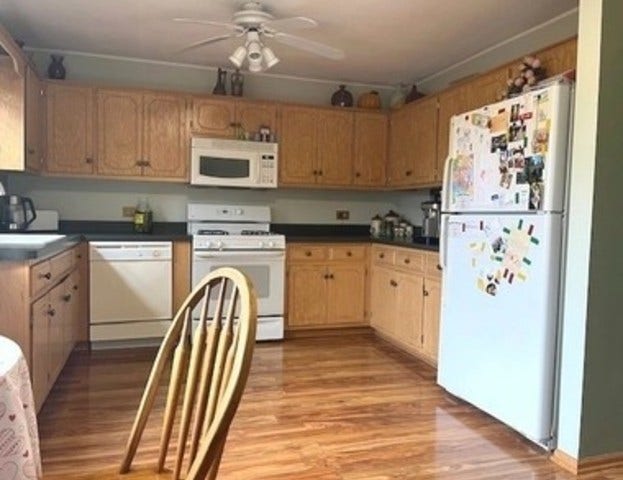 1005 Singer Avenue, Lemont, IL 60439 1005 Singer Avenue, Lemont, IL 60439