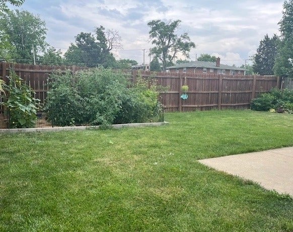 1005 Singer Avenue, Lemont, IL 60439 1005 Singer Avenue, Lemont, IL 60439