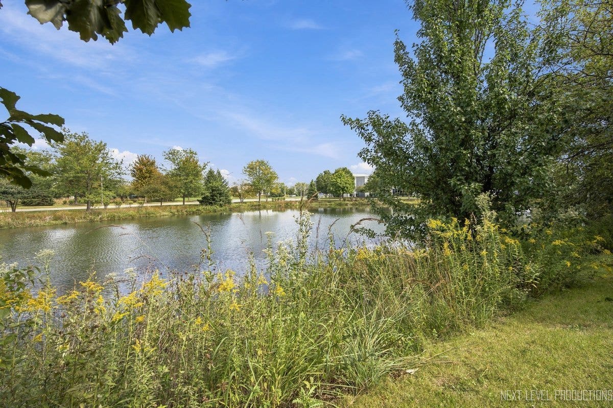 14642 Paul Revere Lane, Plainfield, IL 60544