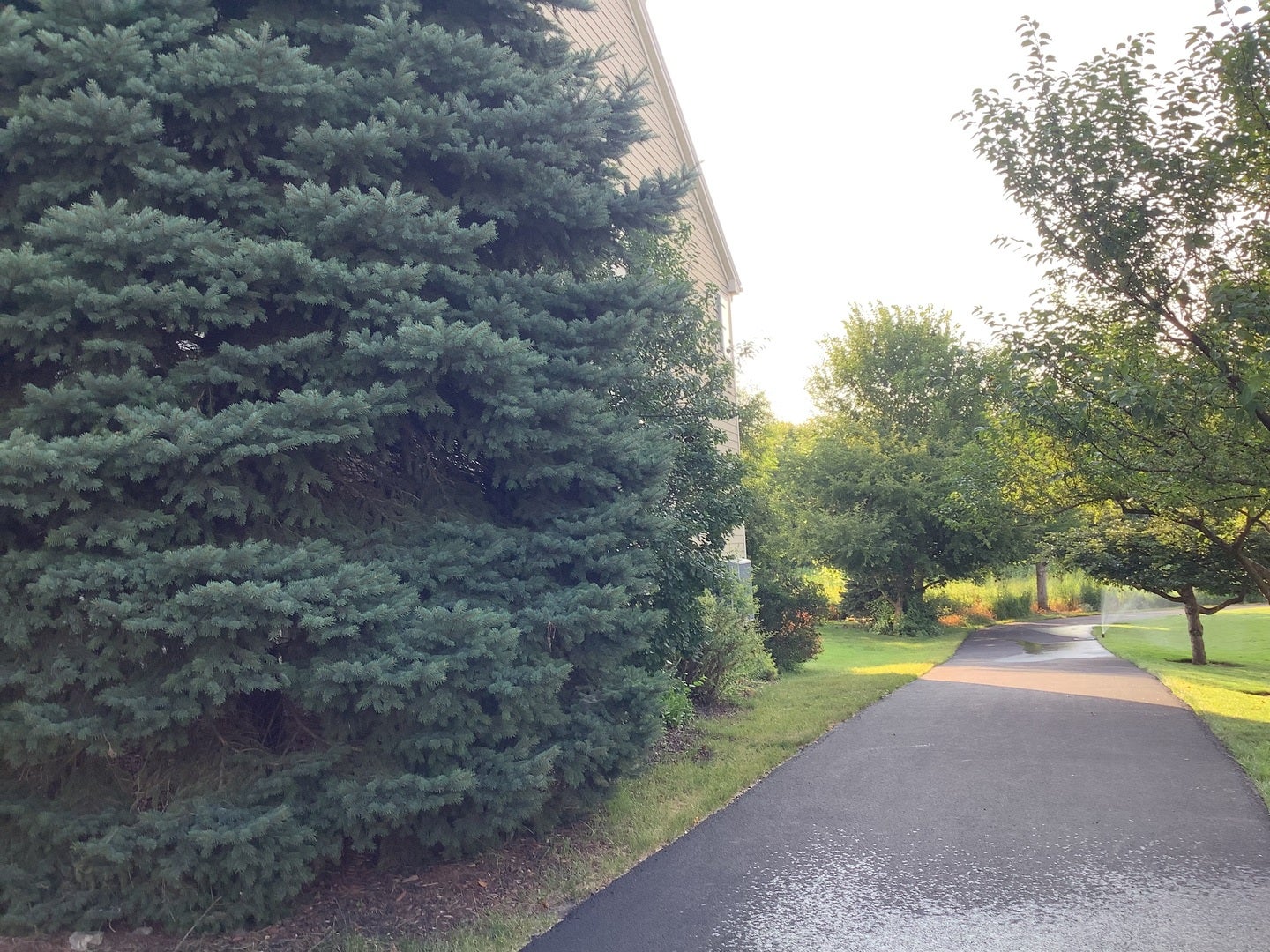 2921 Kelly Drive, Elgin, IL 60124 2921 Kelly Drive, Elgin, IL 60124