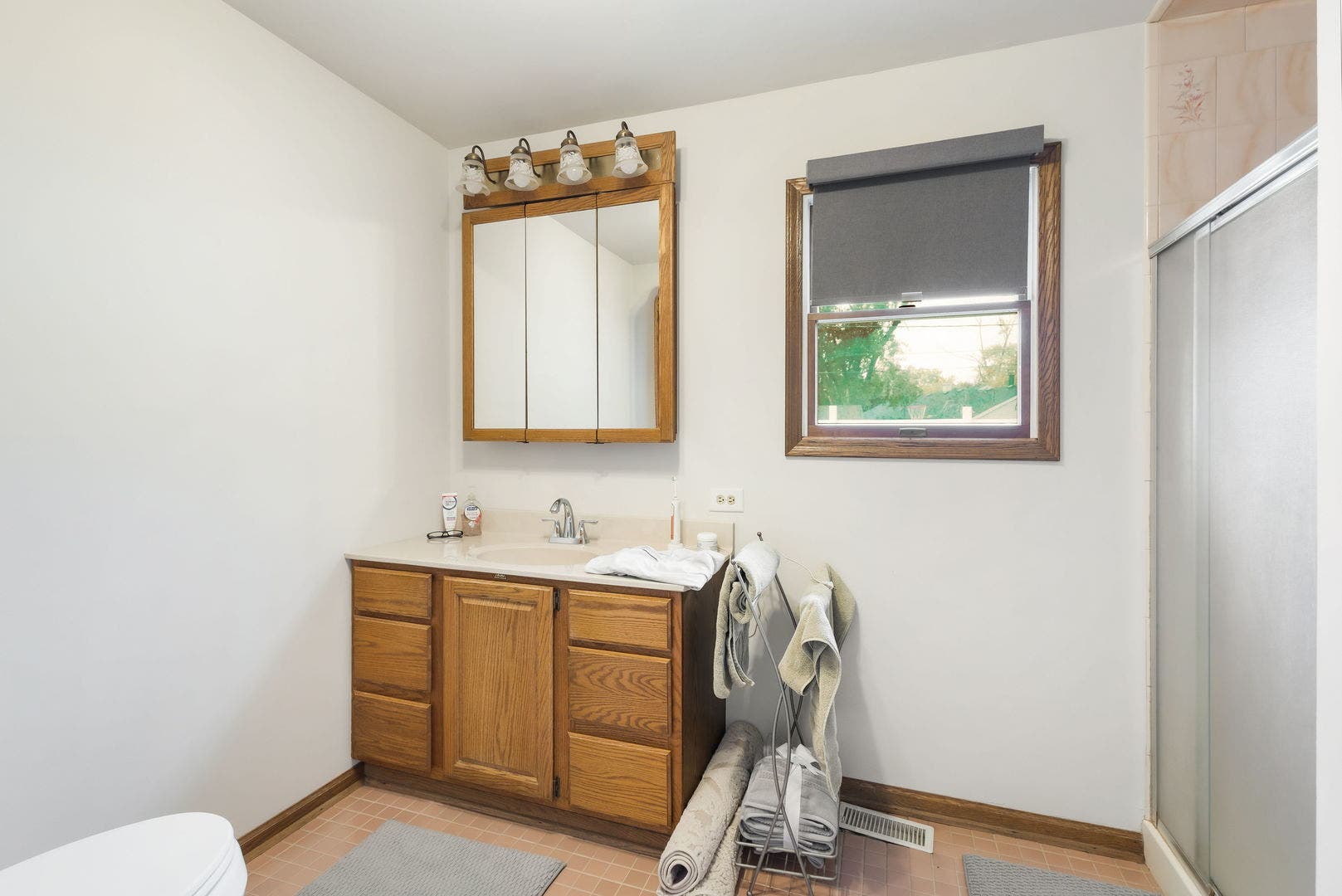 10145 Hyacinth Drive, Orland Park, IL 60462 10145 Hyacinth Drive, Orland Park, IL 60462