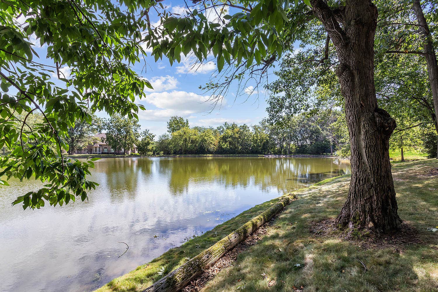 14044 W Austrian Court, Homer Glen, IL 60491 14044 W Austrian Court, Homer Glen, IL 60491