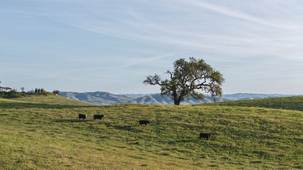 35 Wellsona Road, Paso Robles, CA 93446 35 Wellsona Road, Paso Robles, CA 93446