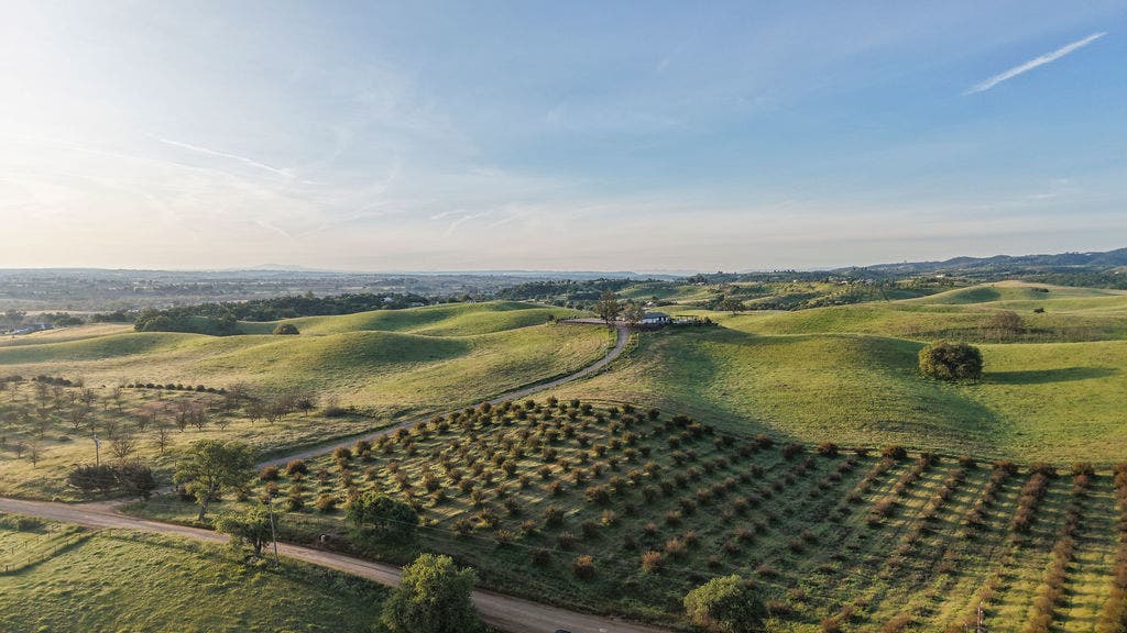 35 Wellsona Road, Paso Robles, CA 93446 35 Wellsona Road, Paso Robles, CA 93446