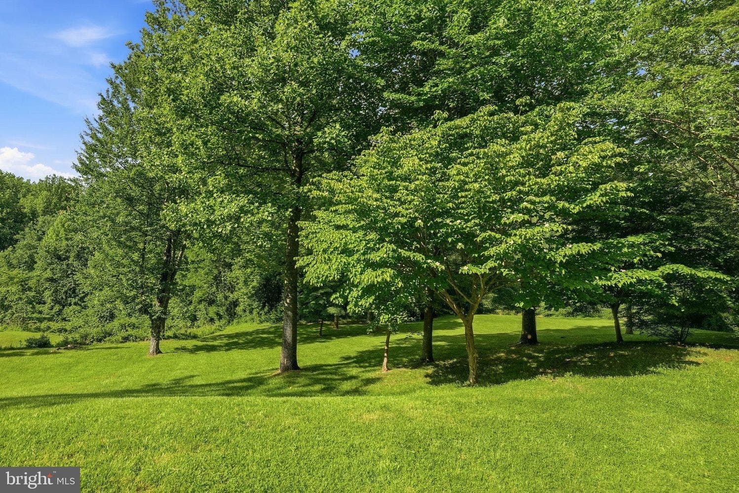 3665 Creels Lane, The Plains, VA 20198 3665 Creels Lane, The Plains, VA 20198