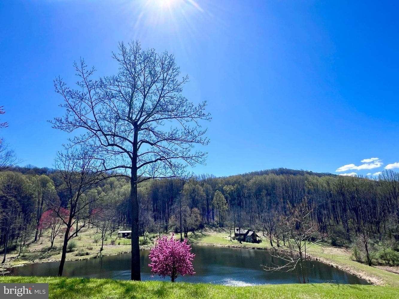 3665 Creels Lane, The Plains, VA 20198 3665 Creels Lane, The Plains, VA 20198