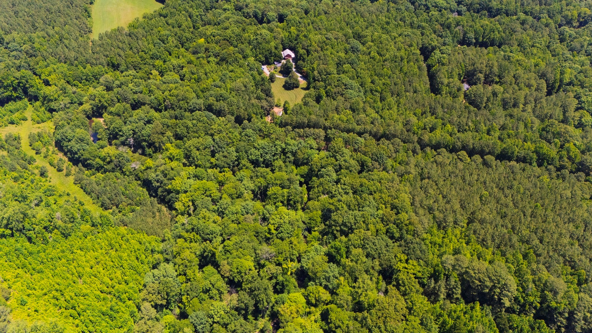 319 Wrights Way, Pittsboro, NC 27312