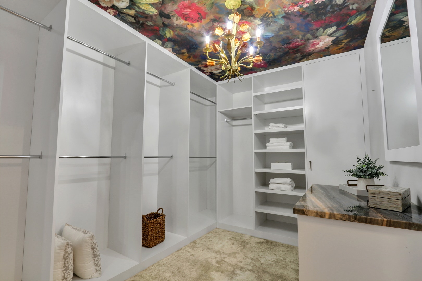 39675 Orchard Bluff Lane, Wadsworth, IL 60083 1 of 2 primary walk in closets