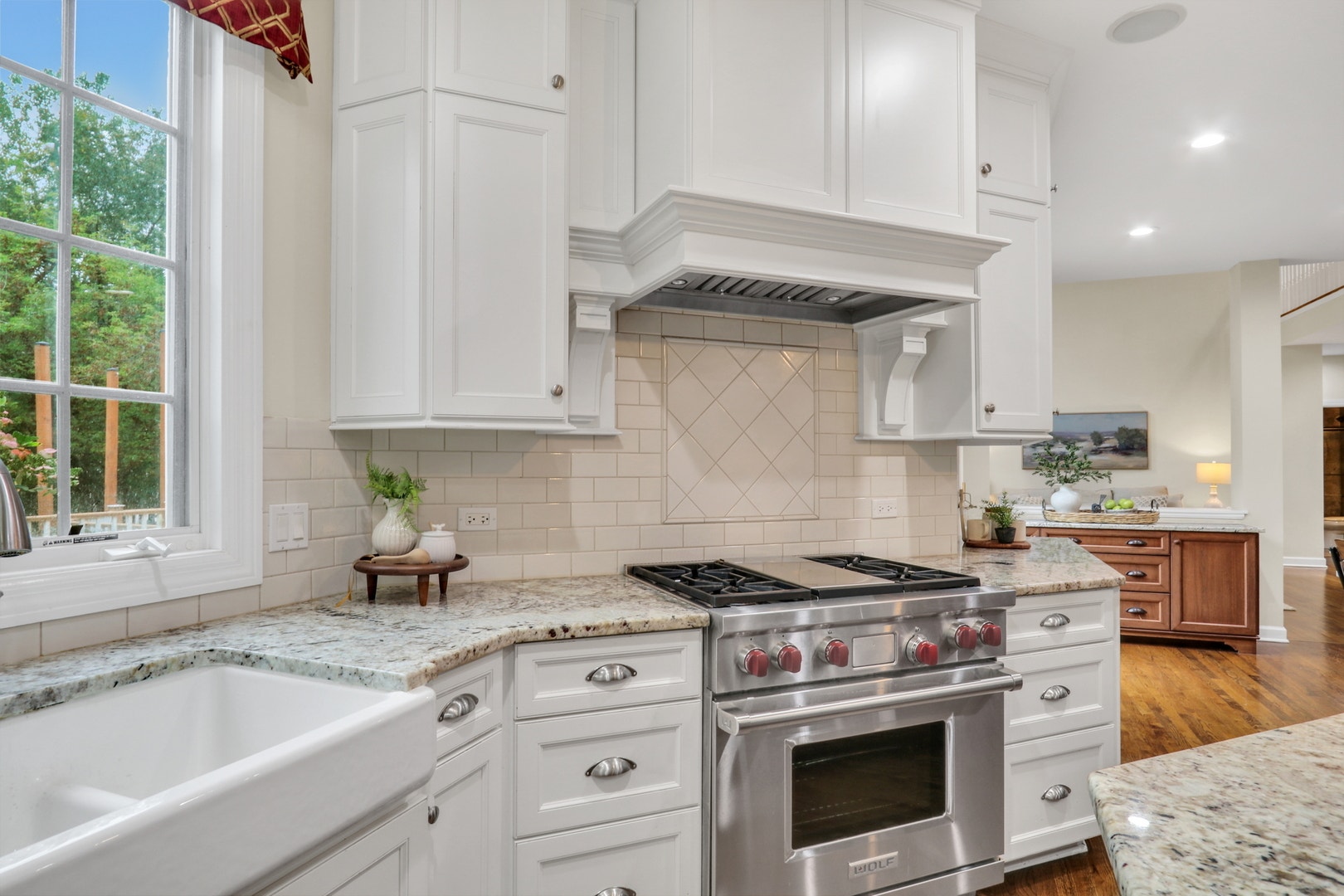 39675 Orchard Bluff Lane, Wadsworth, IL 60083 Wolf stove