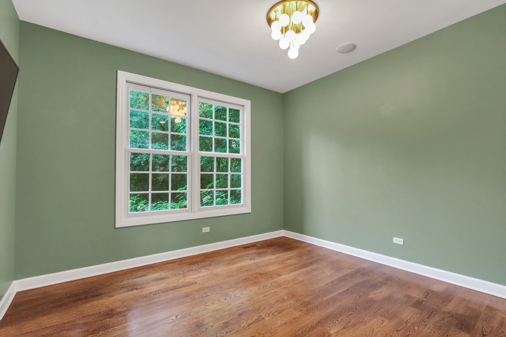 39675 Orchard Bluff Lane, Wadsworth, IL 60083 Main level ~ tucked away private bedroom. Could be