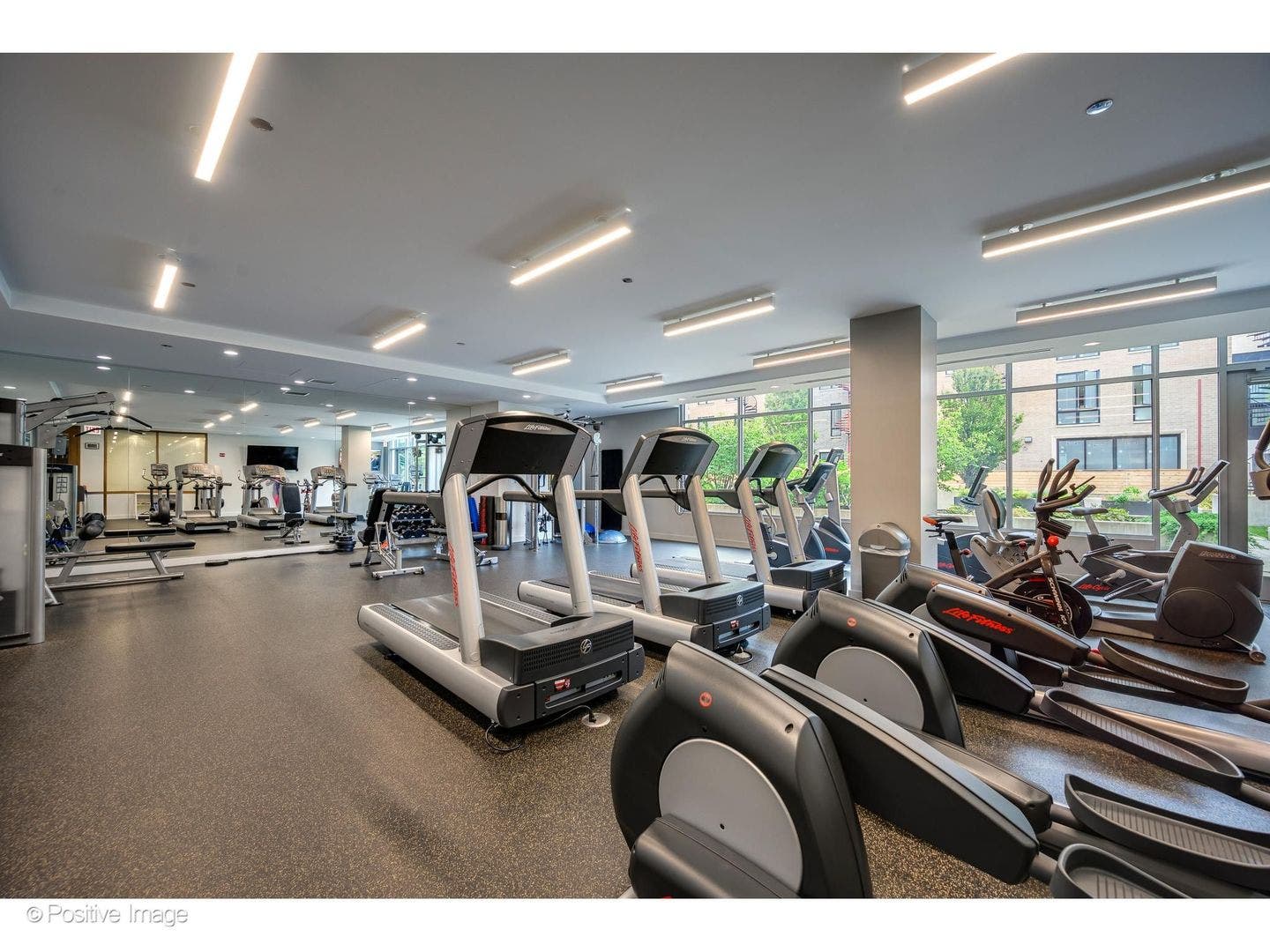 540 W Webster Avenue, #511, Chicago, IL 60614 540 W Webster Avenue, #511, Chicago, IL 60614