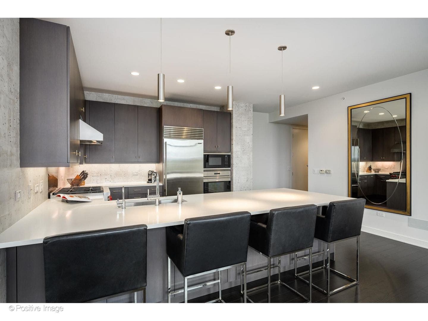540 W Webster Avenue, #511, Chicago, IL 60614 540 W Webster Avenue, #511, Chicago, IL 60614