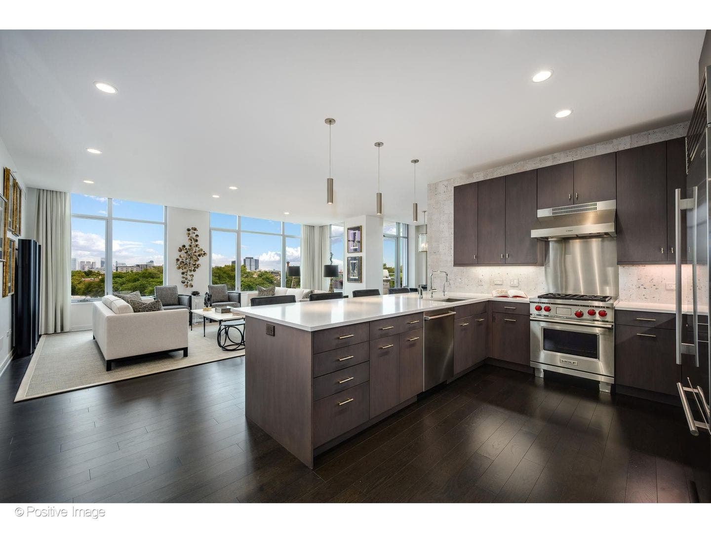 540 W Webster Avenue, #511, Chicago, IL 60614 540 W Webster Avenue, #511, Chicago, IL 60614