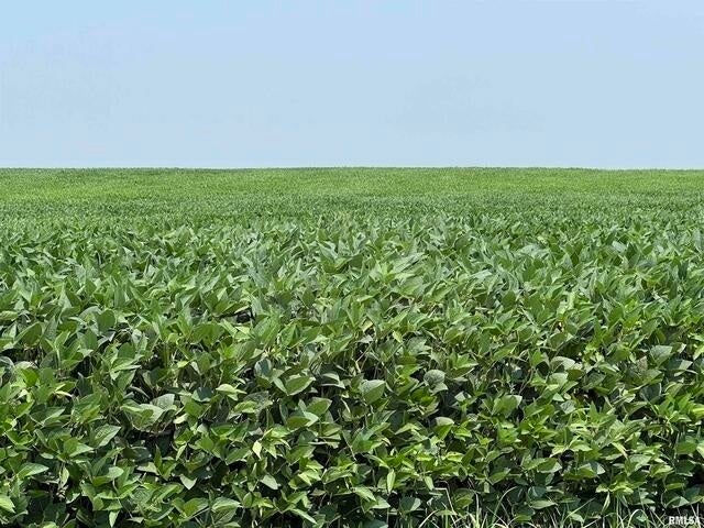 0 140th Avenue, Donahue, IA 52746 0 140th Avenue, Donahue, IA 52746